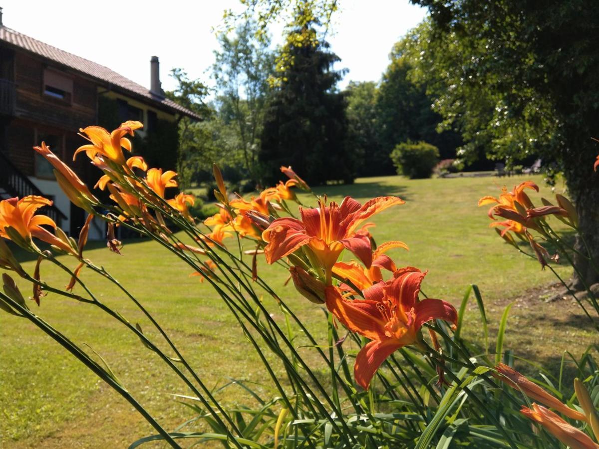 Domaine De L'Olifant Bed & Breakfast Champanges ภายนอก รูปภาพ