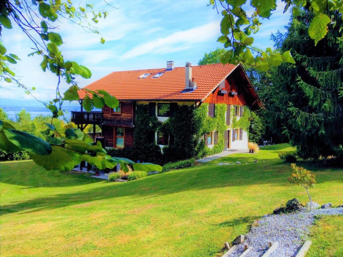 Domaine De L'Olifant Bed & Breakfast Champanges ภายนอก รูปภาพ