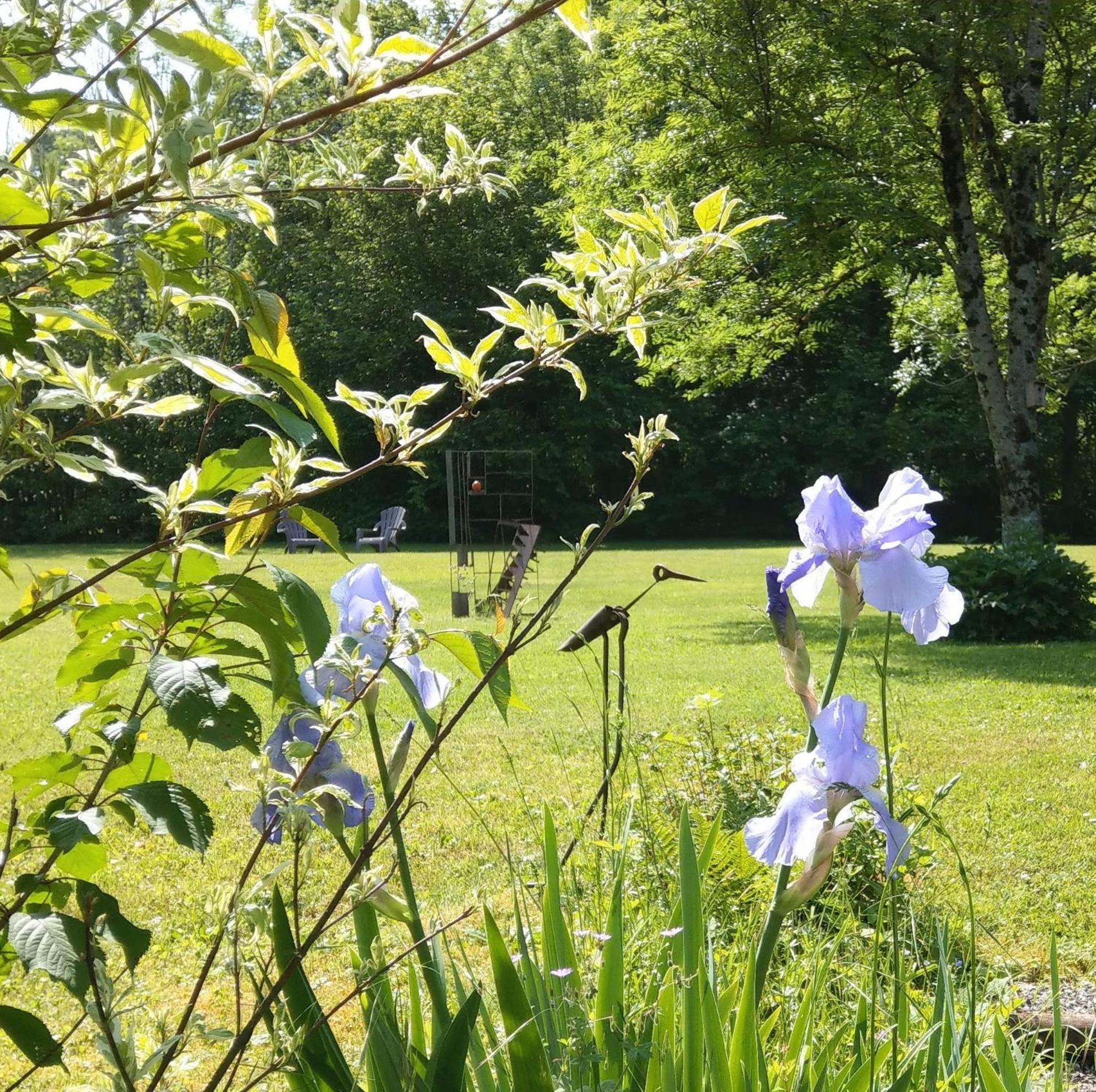 Domaine De L'Olifant Bed & Breakfast Champanges ภายนอก รูปภาพ