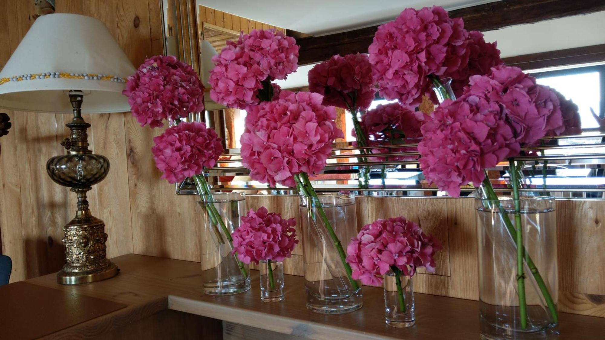 Domaine De L'Olifant Bed & Breakfast Champanges ภายนอก รูปภาพ