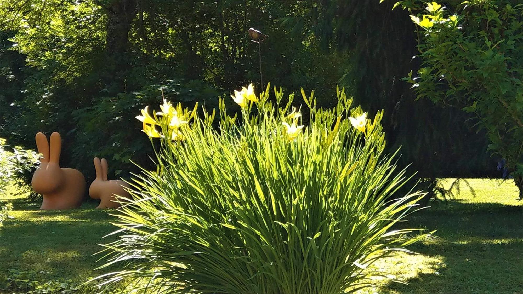 Domaine De L'Olifant Bed & Breakfast Champanges ภายนอก รูปภาพ