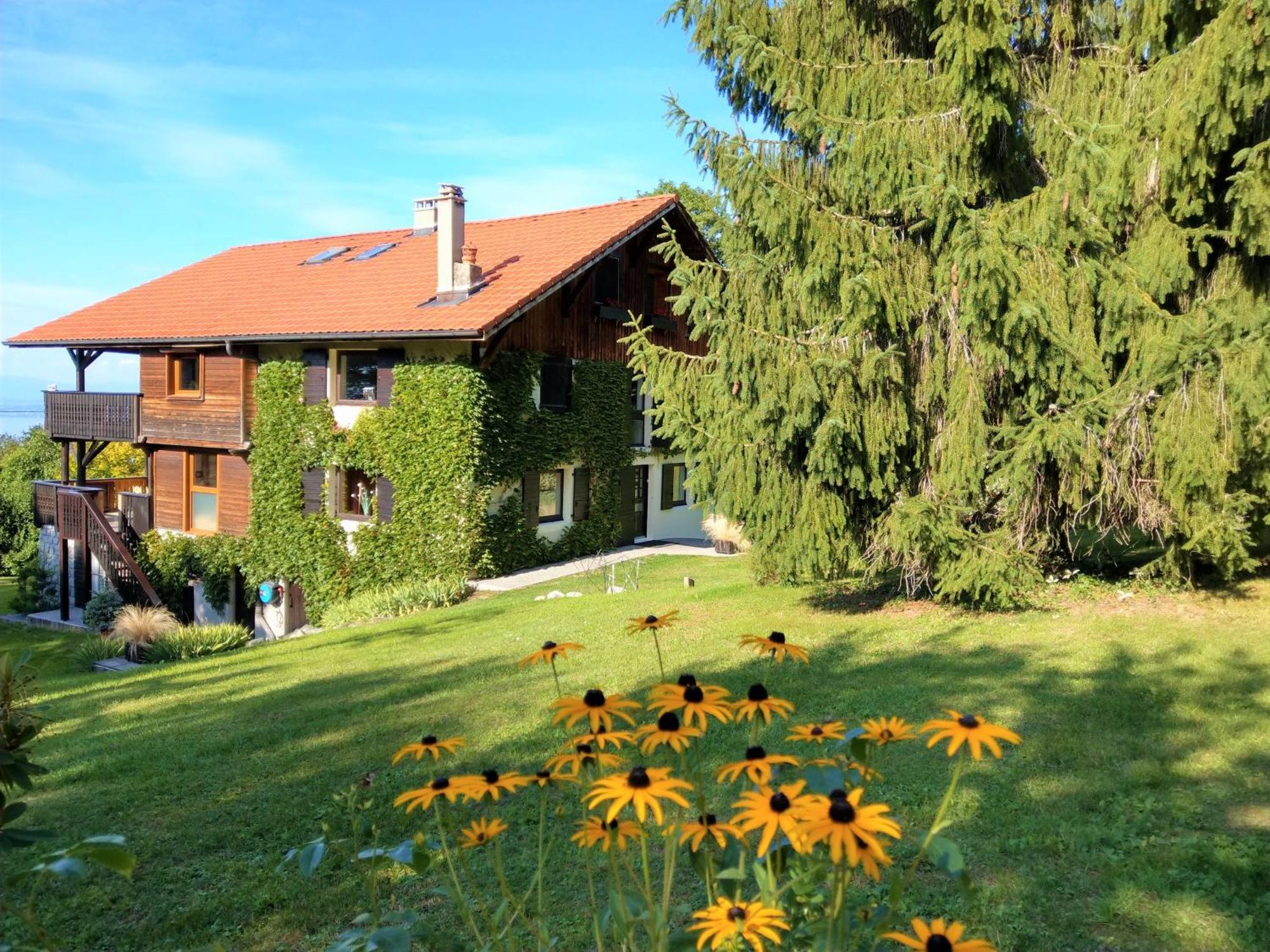 Domaine De L'Olifant Bed & Breakfast Champanges ภายนอก รูปภาพ