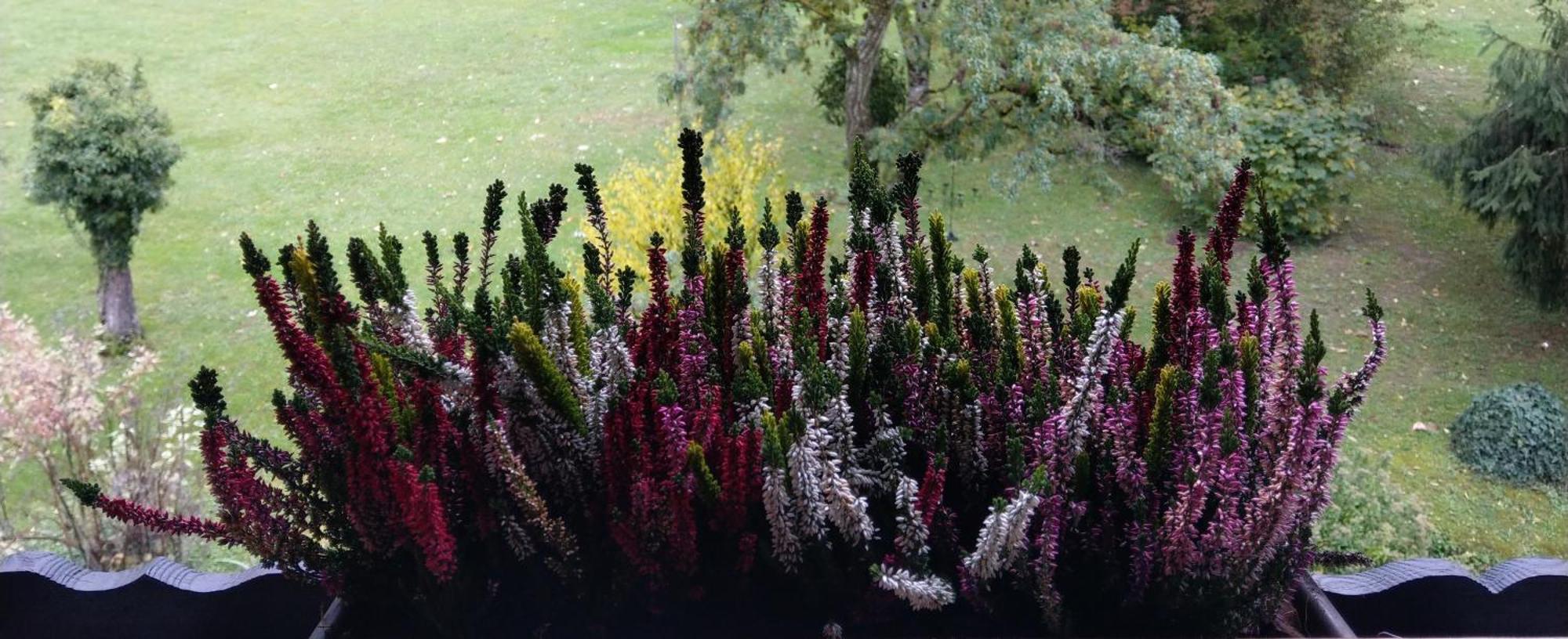 Domaine De L'Olifant Bed & Breakfast Champanges ภายนอก รูปภาพ