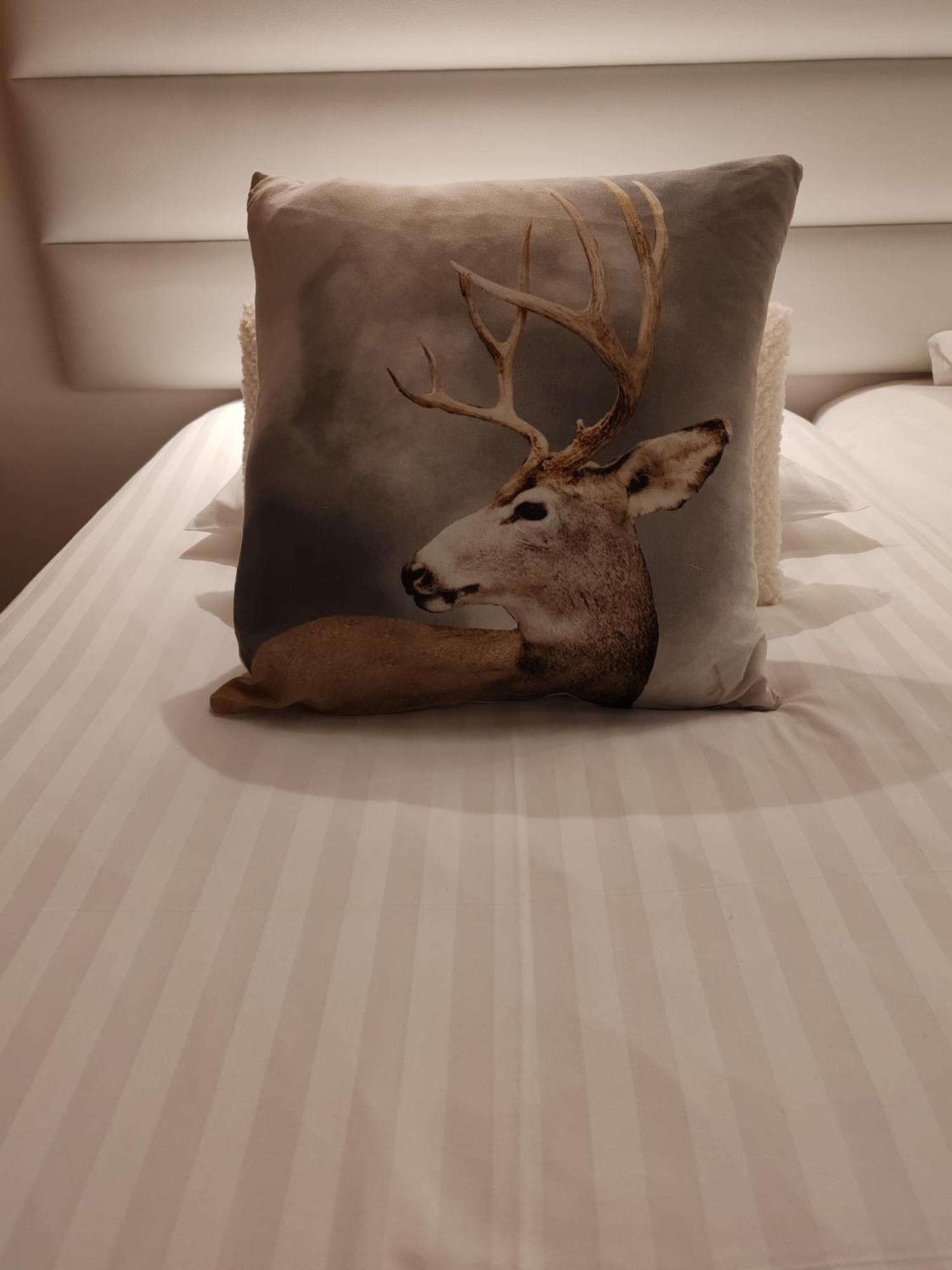 Domaine De L'Olifant Bed & Breakfast Champanges ห้อง รูปภาพ