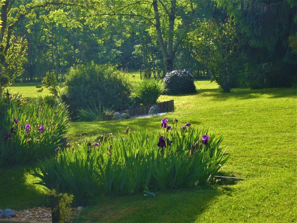 Domaine De L'Olifant Bed & Breakfast Champanges ภายนอก รูปภาพ
