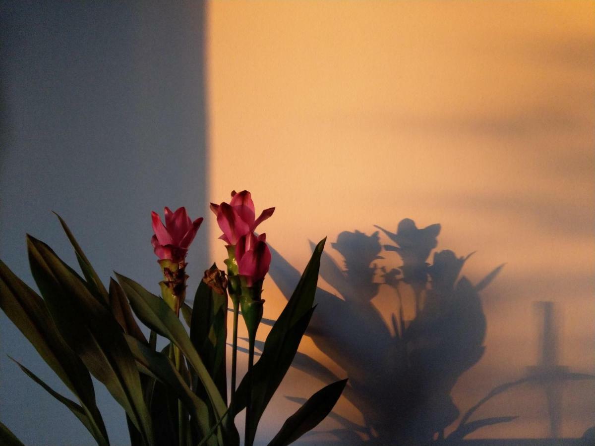 Domaine De L'Olifant Bed & Breakfast Champanges ภายนอก รูปภาพ